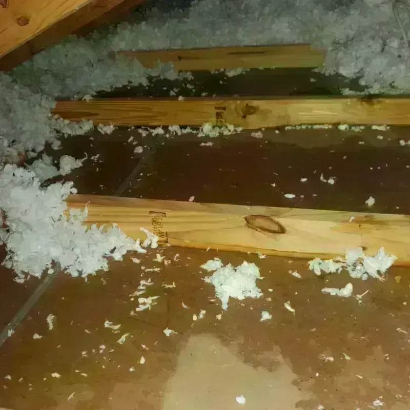 Attic Water Damage in Keeler Farm, NM