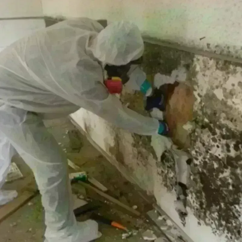 Mold Remediation and Removal in Keeler Farm, NM